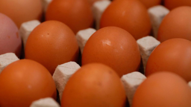 Il ministero della Salute fa ritirare uova fresche e marlin affumicato per rischio microbiologico