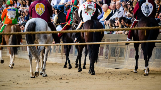 Palio straordinario: la diretta - Corriere di Siena - corr.it