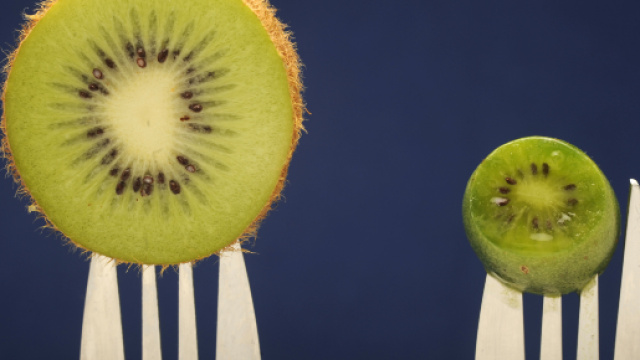 Il kiwi e le sue propriet&agrave; nutrizionali