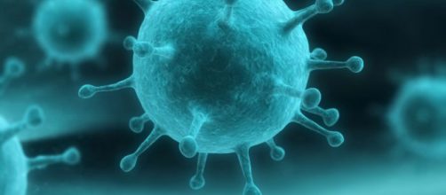 Cinco datos interesantes sobre el virus de la gripe