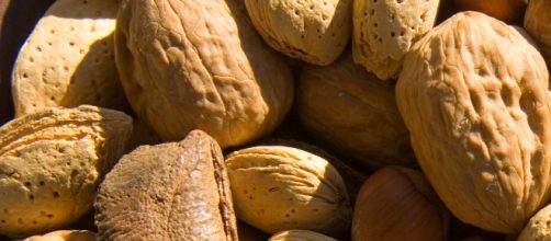 A photo of nuts. - [National Awareness Days / YouTube screencap]