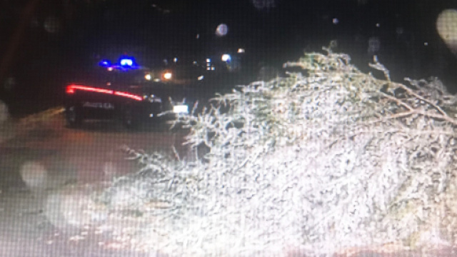 Milano, 'tromba d'aria' e raffiche di vento fino a 70 km/h: nessun ferito grave ad oggi.