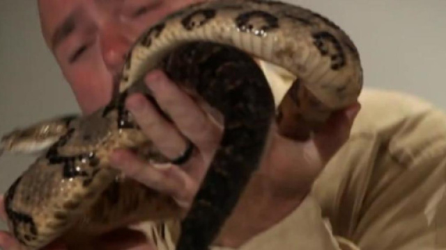 Jamie Coots, pastore morto a seguito del morso di un serpente