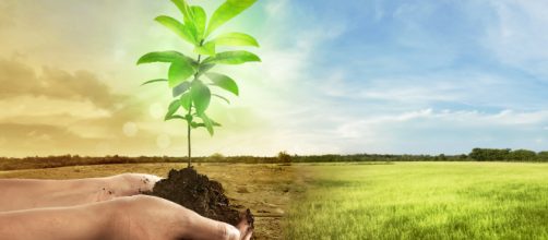 Qu&eacute; puedo hacer para parar el cambio clim&aacute;tico? Empieza por estas ... - ticbeat.com