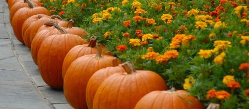 October 26: 5 things that happned this day in history/ Photo via laurenrpadden, Pixabay