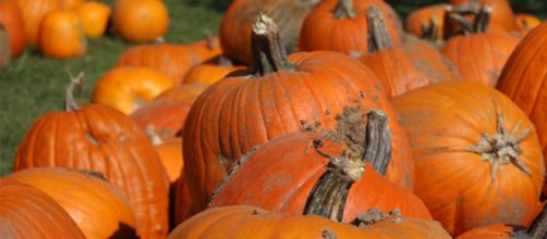 Twitter responds to National Pumpkin Day as only Twitter can respond [Image via grandandgorgeous.com/YouTube]