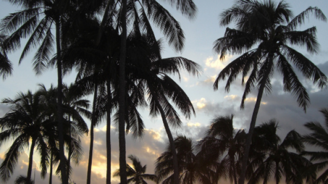 Isola delle Hawaii cancellata da un uragano