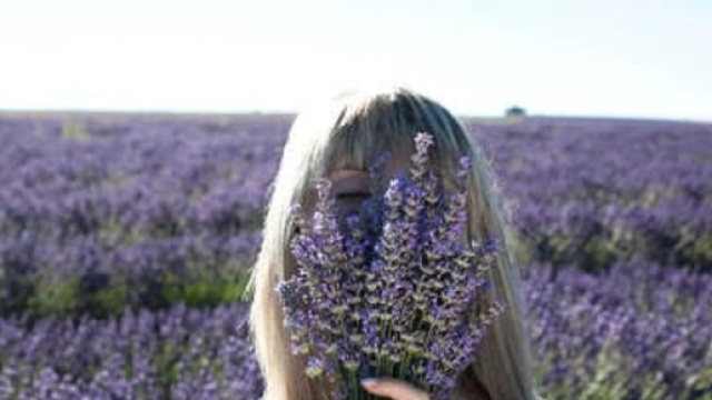 La lavanda &egrave; un ansiolitico naturale