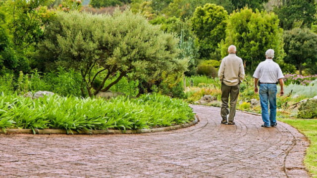 Pensioni e Manovra 2019, dopo il nuovo giudizio sul rating il Governo insiste su pensioni flessibili e reddito di cittadinanza