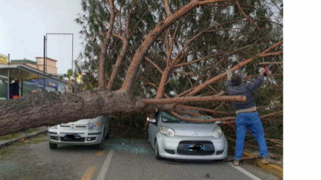 Via Montagna Spaccata, Pianura (Napoli): albero crolla su auto con passeggeri