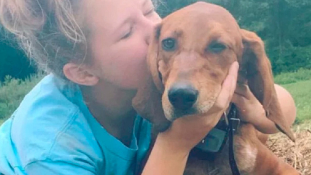 Il cane le sfugge e finisce in strada: bimba corre a salvarlo - People.com