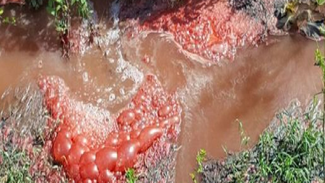 Sarno, l'allarme degli scienziati: '&Egrave; il pentagono della morte' - Il Mattino