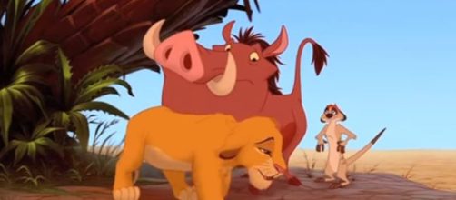 The Lion King's Timon the meerkat: Five interesting facts about his real-life species - Image credit - Disney va MOVIE PREDICTOR | YouTube