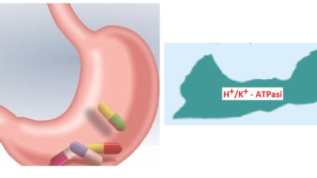 Da oltre 20 anni gli IPP vengono efficacemente impiegati per controllare vari disturbi gastrici. E il loro consumo continua ad aumenta.