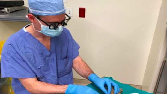 Il bimbo malato glielo chiede e il chirurgo opera anche l'orsetto | - vocedistrada.it