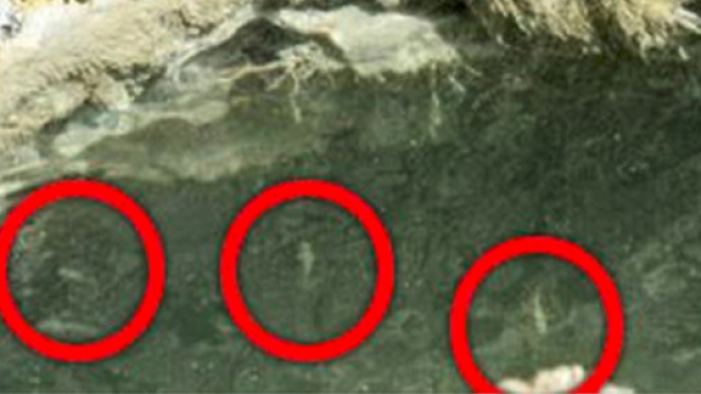 Pesci nel Mar Morto come nella profezia di Ezechiele: presagio della fine del mondo - Leggo.it