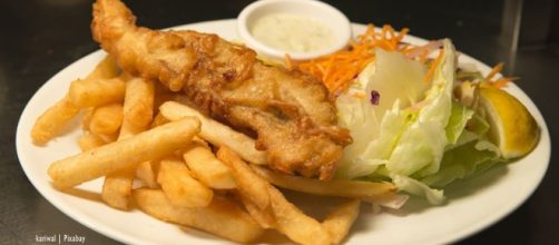 Vegans get to eat "Fish" & Chips in London - image credit - kariwal | Pixabay