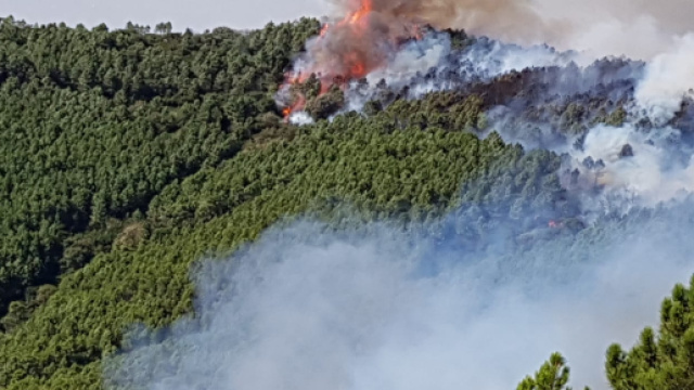 Incendio monte Serra, ciclista presunto piromane