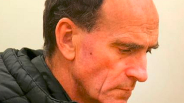 Fa l'amore con la mucca e costringe un pony a penetrarlo - Fanpage.it