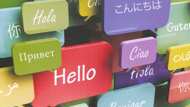 Lingue straniere, le 10 migliori Universit&agrave; dove studiarle ... - gds.it