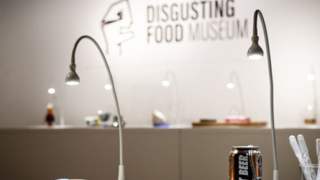 In Svezia ha aperto il primo museo al mondo dei cibi disgustosi. In esposizione anche il formaggio con i vermi sardo.