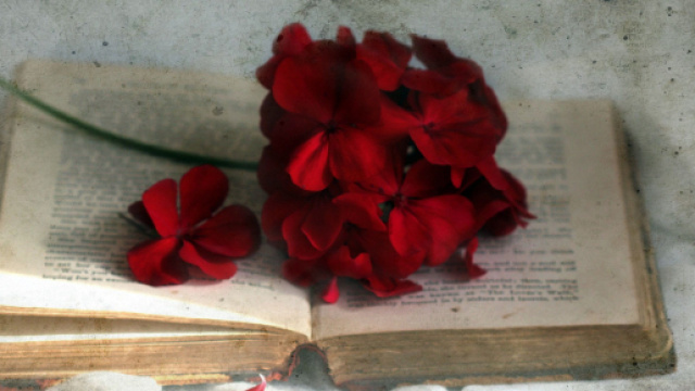 Oroscopo della settimana dal 19 al 25 novembre 2018 | Pagelle, classifiche, stelline e previsioni: Sagittario top della settimana, 'voto 10'