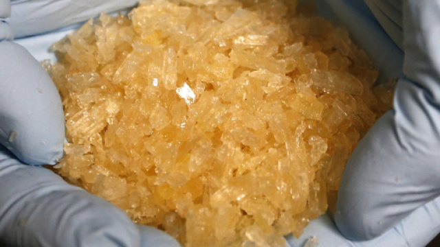 Florida, metanfetamina per curare la malattia: l'arresto di una 73enne.