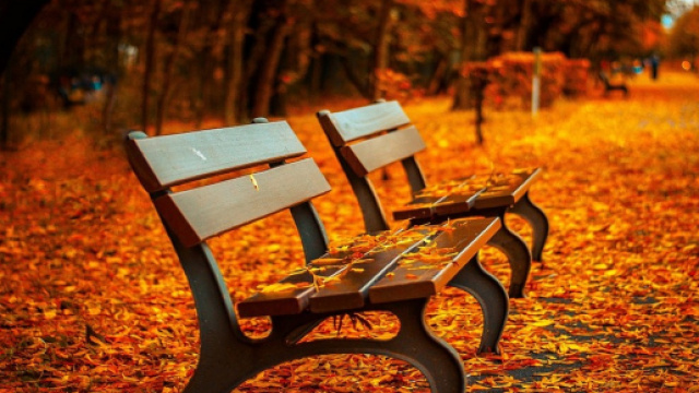 Oroscopo domenica 18 novembre: splende il Gemelli, relax per Leone
