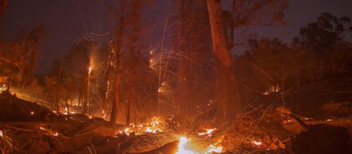 California's Political Fires - WSJ - wsj.com