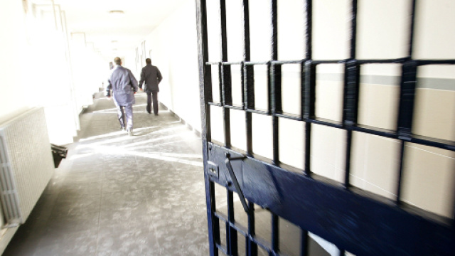 Legata a testa in gi&ugrave; e chiusa in una gabbia muore a 19 mesi.