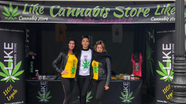 Lucca, mega furto di cannabis depotenziata.