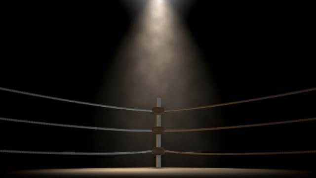 Risultati Wwe Crown Jewel: Brock Lesnar conquista il titolo di Universal Champion