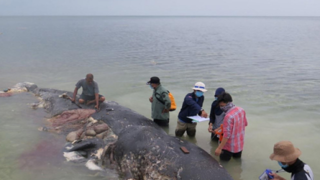 Indonesia, November 19, 2018 in this picture obtained from social media. KARTIKA SUMOLANG/via REUTERS