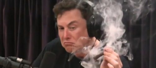 Elon Musk apareci&oacute; fumando marihuana durante una entrevista - Infobae - infobae.com