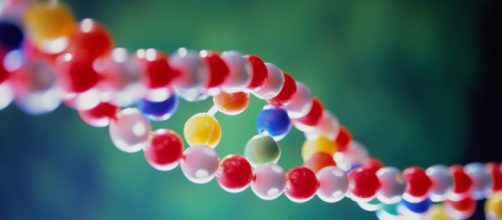 Ser homossexual pode ser apenas parcialmente devido &agrave; gen&eacute;tica - com.br