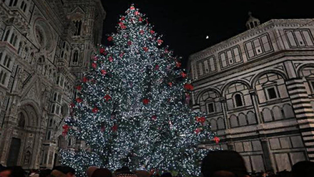 Accensione albero di Natale a Firenze in Piazza del Duomo 2018: sabato 8 dicembre - controradio.it