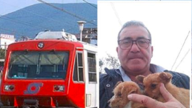 Il treno sta per investirli, operaio in provincia di Napoli salva cuccioli da morte certa - Internapoli