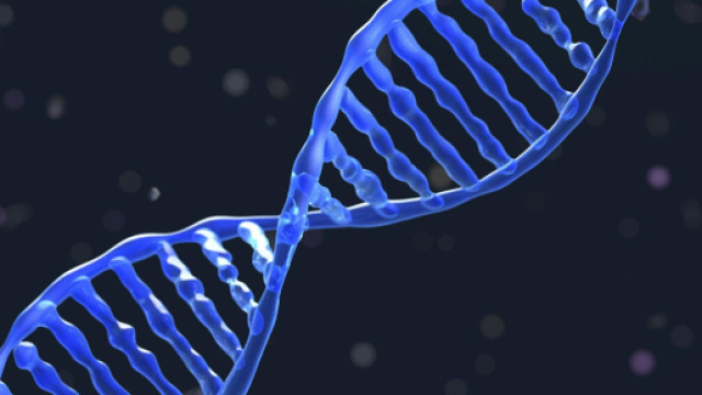 Cina, sarebbero stati creati i primi esseri umani con Dna modificato