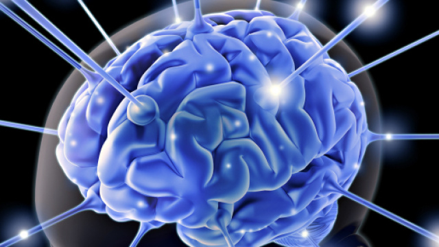 Il cervello continua a funzionare anche dopo la morte