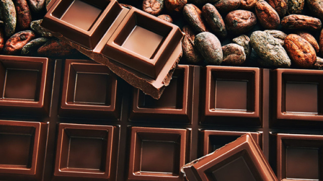 Novara, scaglia barra di cioccolato da un chilo contro la collega.