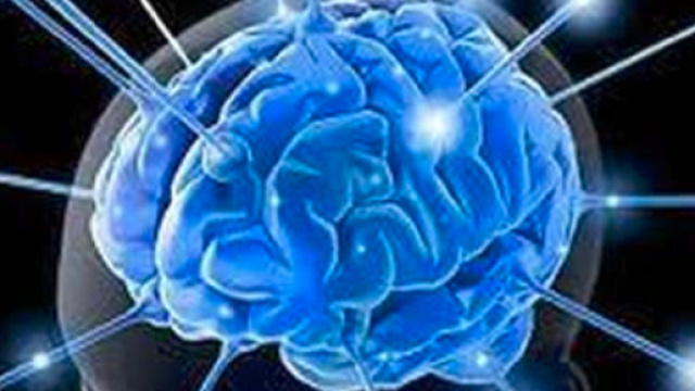 Quando moriamo ce ne rendiamo conto: il cervello continua ancora a funzionare - Il Mattino