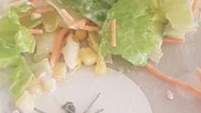 Irlanda, trova un ragno nell'insalata confezionata: denuncia l'accaduto su Facebook