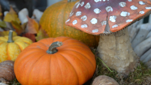 Autunno in tavola con 5 alimenti fondamentali