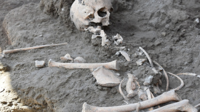 Ritrova lo scheletro del padre scomparso dopo 57 anni nel seminterrato