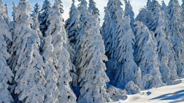 Coppa del Mondo sci alpino femminile: le gare in Val Gardena in diretta tv sulla Rai