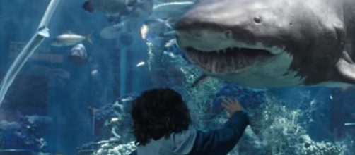 Aquaman reviews and reactions on Twitter - Image credit Warner bros. | YouTube