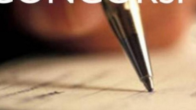 Concorsi pubblici per differenti ruoli professionali.