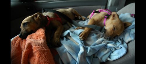 A photo on Flickr that I enjoy. - [Wonderlane / Flickr]