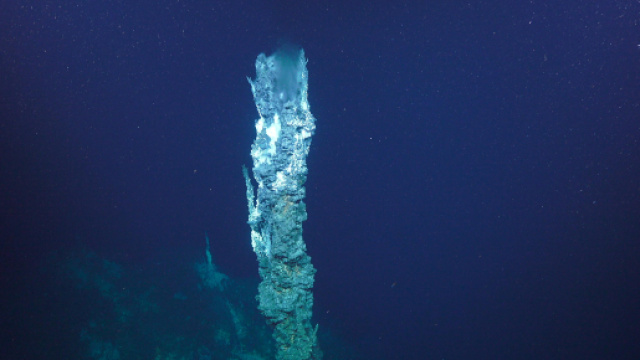 JaichMaa, nuova corrente idrotermale scoperta nel bacino meridionale di Pescadero