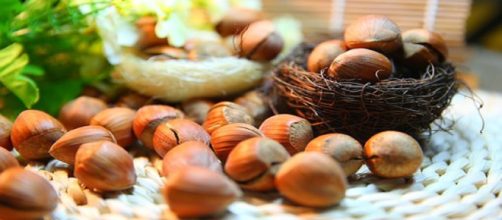 hazelnuts/photo via "sunnysun0804" - Imge credit CCO | Pixabay